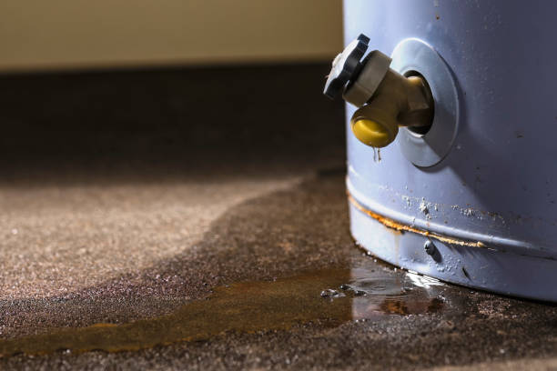 Best Fire Damage Restoration  in Sauk Rapids, MN