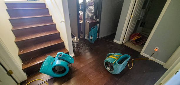  Sauk Rapids, MN Water damage restoration Pros