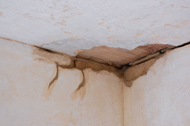 Best Water damage restoration specialists  in Sauk Rapids, MN