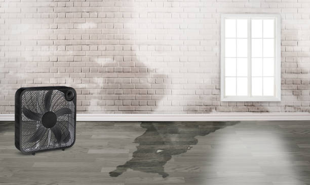 Best Commercial water damage restoration  in Sauk Rapids, MN