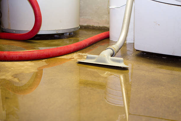 Best Water damage cleanup near me  in Sauk Rapids, MN